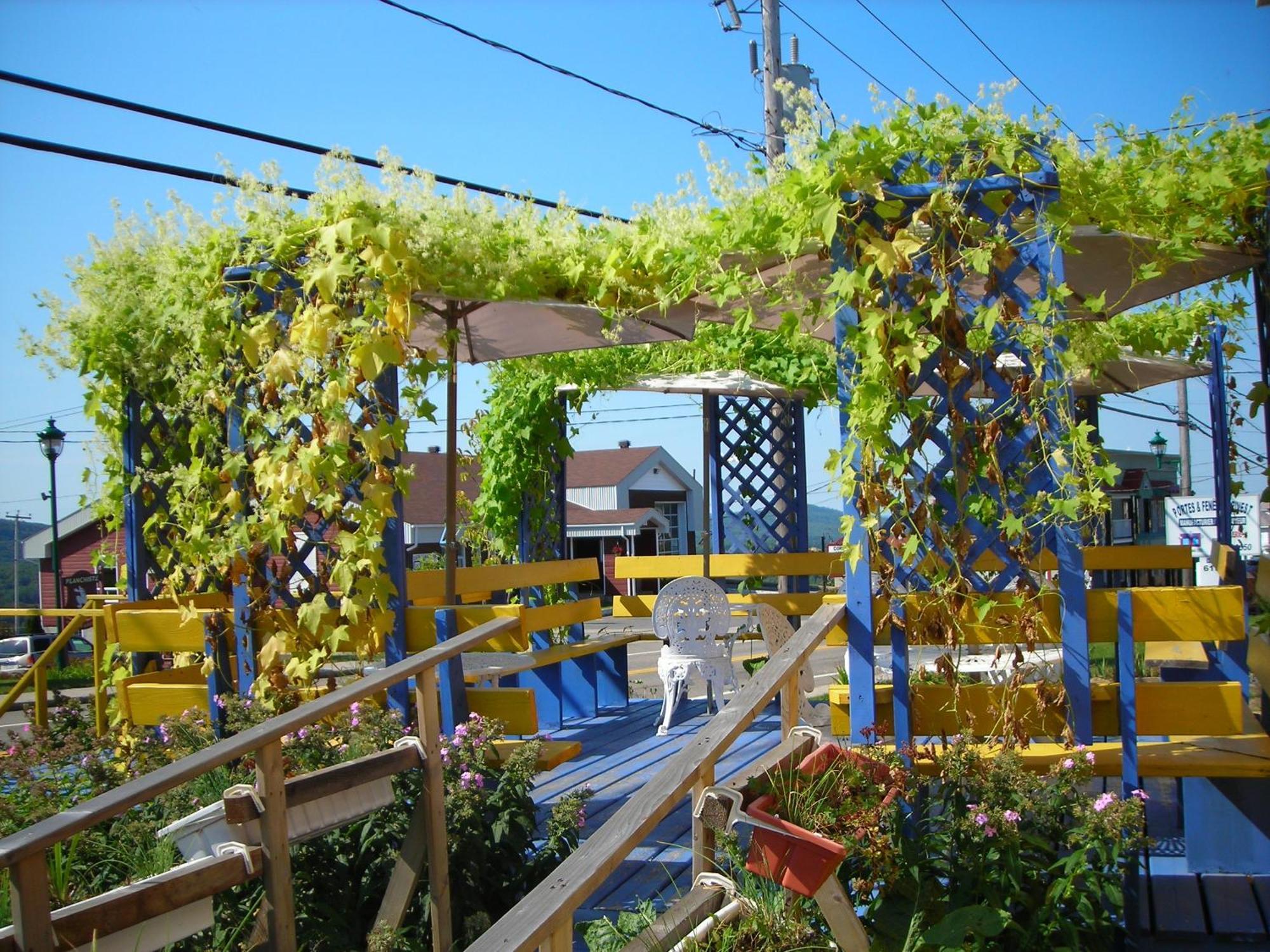 Gite Des Hauteurs Et Cafe De La Place Saint Zenon Εξωτερικό φωτογραφία